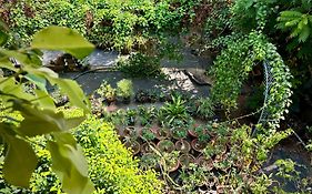 Gloria Homestay ,Thrissur